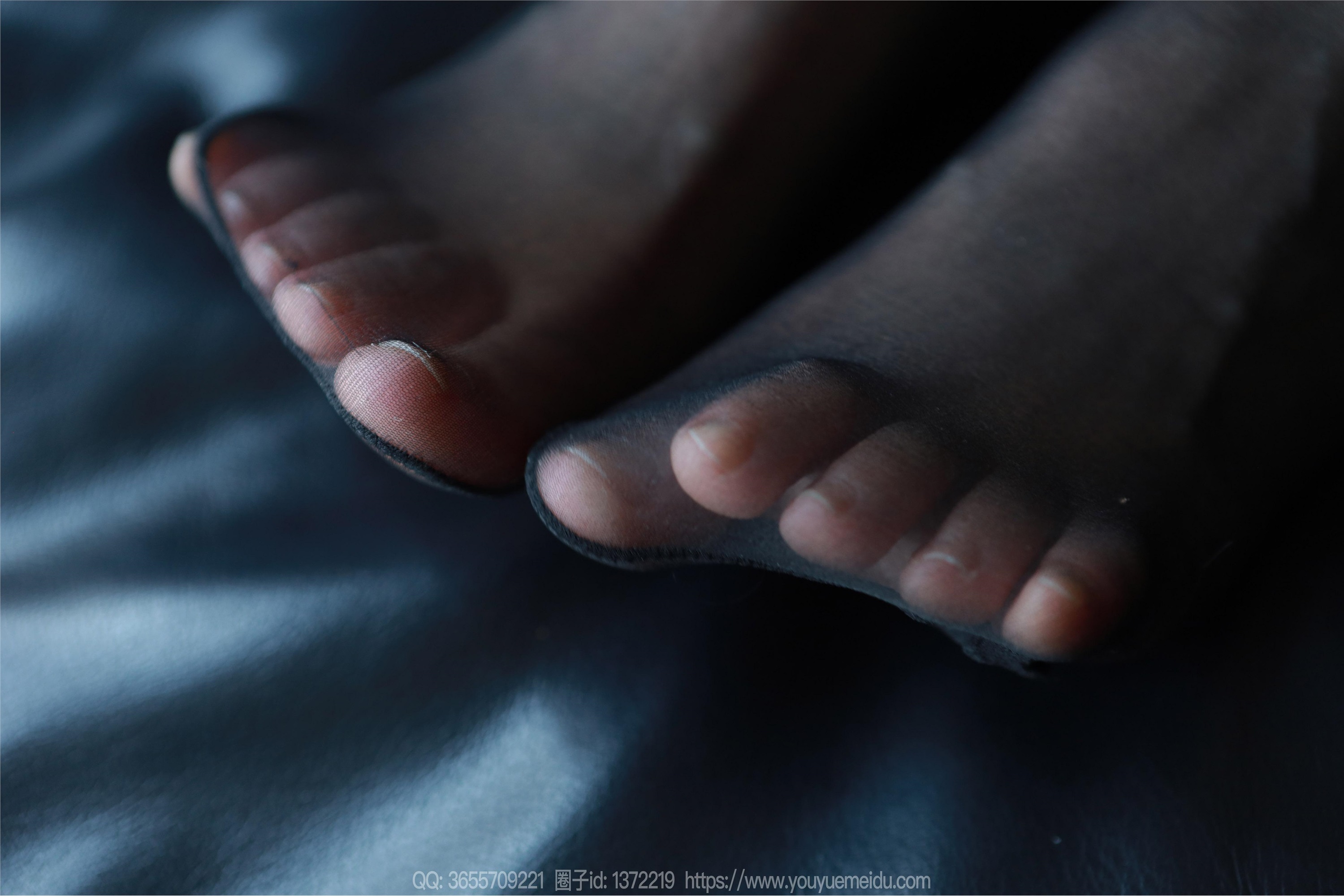 IESS异思趣向  2025.02.26 丝享家 1987 小金《毛绒绒》